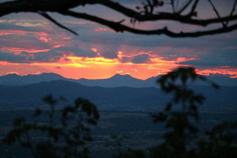 The Polish Place - Mackay Tourism 4