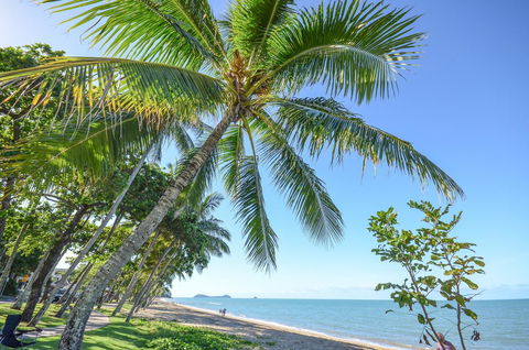 Roydon Beachfront Apartments - Mackay Tourism 6