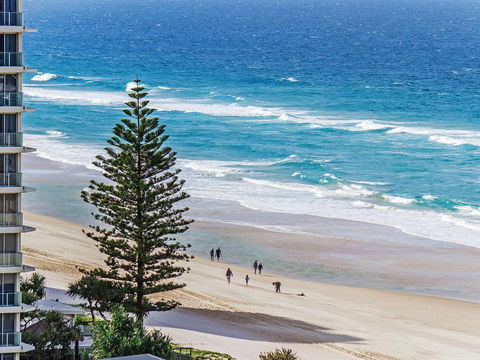 Sunbird Beach Resort Main Beach - Mackay Tourism 27