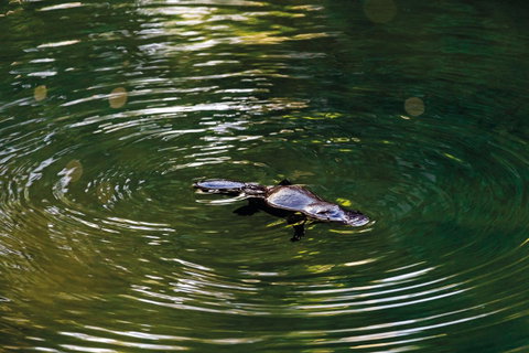 Riviera Mackay - Mackay Tourism 15