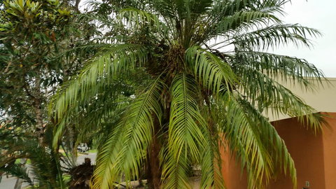 Hepburn Holiday Haven - Mackay Tourism 26