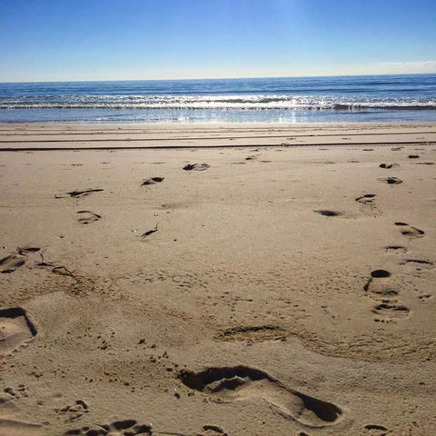 Kirra Surf Apartments - Mackay Tourism 12