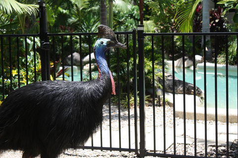 Boutique Bungalows - Mackay Tourism 17