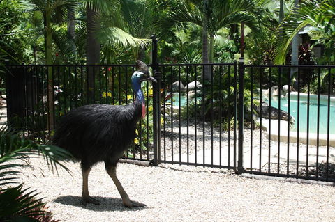 Boutique Bungalows - Mackay Tourism 15