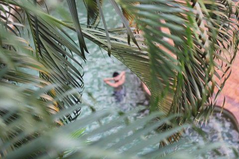 Coral Tree Inn - Mackay Tourism 36