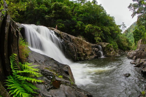 Coral Tree Inn - Mackay Tourism 40
