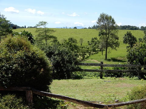 Malanda Manor Guesthouse - Mackay Tourism 17