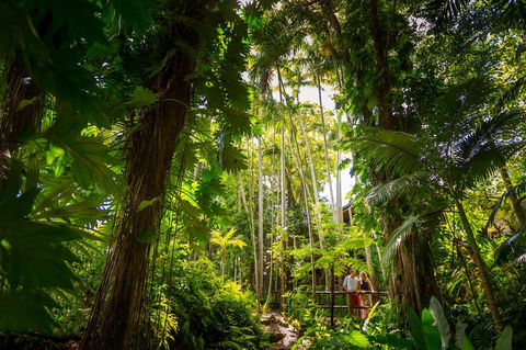 Cairns Colonial Club Resort - Mackay Tourism 22