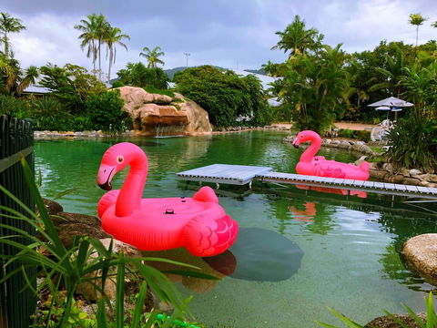 Cairns Colonial Club Resort - Mackay Tourism 6