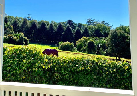 Hampton Estate Wines - Mackay Tourism 11