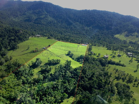 Misty Mountains Rainforest Retreat - Mackay Tourism 33