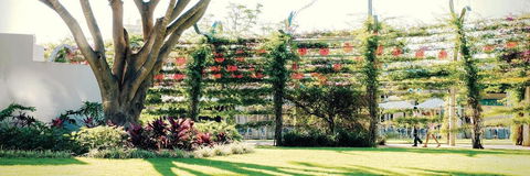 Vine Apartments South Brisbane - Mackay Tourism 19