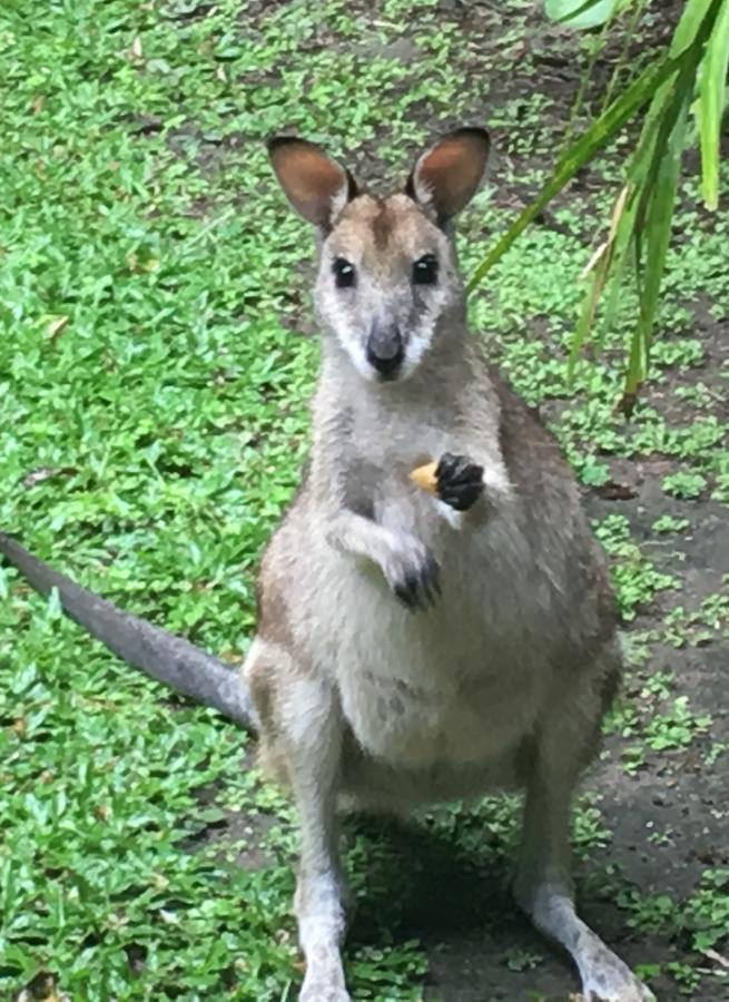 Trinity Park QLD Mackay Tourism
