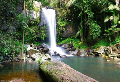 Curtis Falls Cottage - Mackay Tourism 22