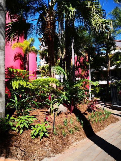 Enderley Gardens Resort - Mackay Tourism 12