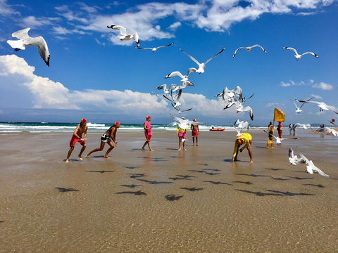 Hi Ho Beach Apartments On Broadbeach - Mackay Tourism 31