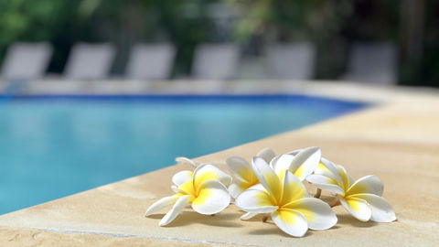 Hi Ho Beach Apartments On Broadbeach - Mackay Tourism 2