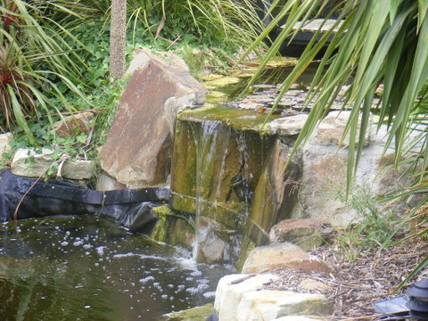 Weeroona Bed And Breakfast - Mackay Tourism 2