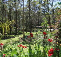 Werekataba - Mackay Tourism