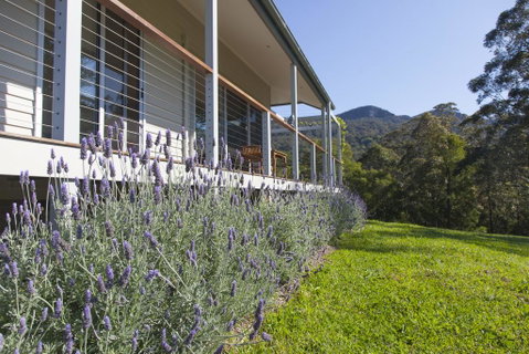 Wilderberry Cottage - Mackay Tourism 3