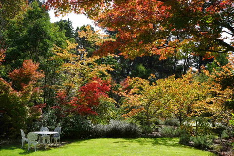 Wimbeldon - Mackay Tourism 3