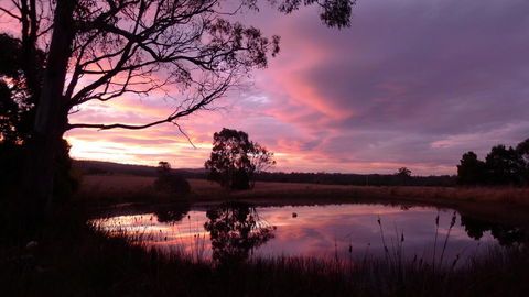 Wind Song Bed & Breakfast - Mackay Tourism 0