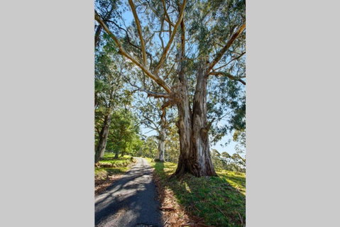 WOOLWAY - Mackay Tourism 1