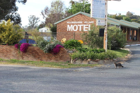 Woomargama Motel - Mackay Tourism 3