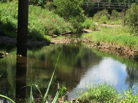 Yandina Caravan Park - Mackay Tourism 2