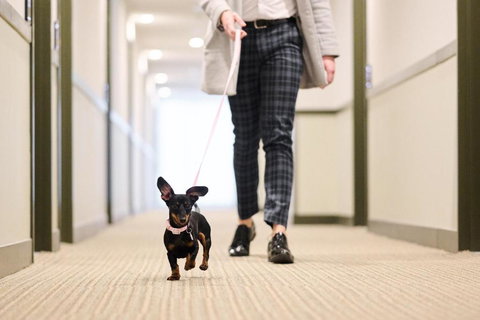 Abode Phillip - Mackay Tourism 4