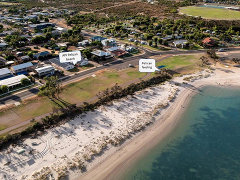 API Pelican Beach Front Apartments Kalbarri - Mackay Tourism 1