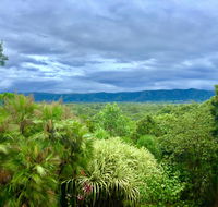 Daintree Manor BB - Mackay Tourism