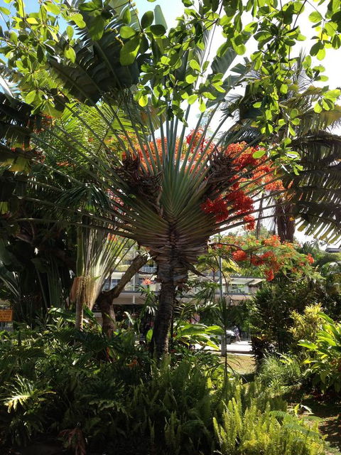Port Douglas Apartments - Adults Only Oasis - Mackay Tourism 39