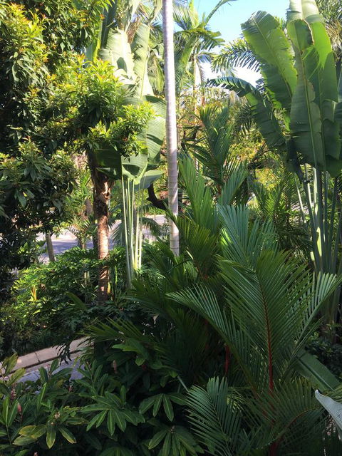 Port Douglas Apartments - Adults Only Oasis - Mackay Tourism 1