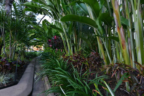 Port Douglas Apartments - Adults Only Oasis - Mackay Tourism 9