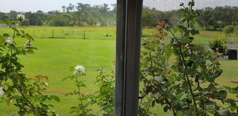 Hay Point Country BnB - Mackay Tourism 6