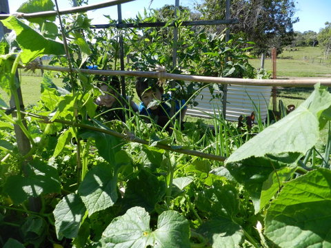 Hay Point Country BnB - Mackay Tourism 17