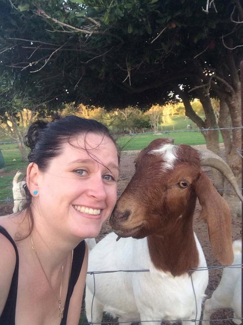 Hay Point Country BnB - Mackay Tourism 13