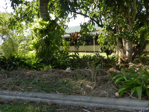 Hay Point Country BnB - Mackay Tourism 23