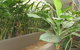 Edge Apartments Cairns - thumb 39