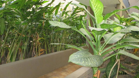 Edge Apartments Cairns - Mackay Tourism 39