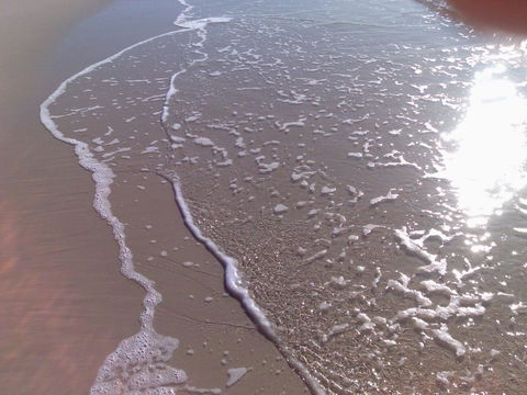 Close To Surf Beach, Surf Club, Hotel And Shops - Boyd St, Woorim - Mackay Tourism 10