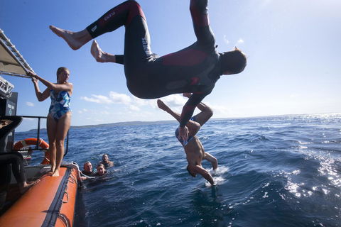 Manta Lodge YHA & Scuba Centre - Mackay Tourism 11