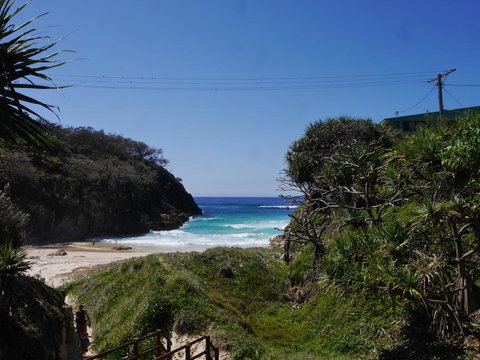Shell Seeker - Mackay Tourism 17