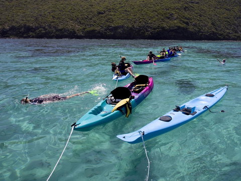 Pinetrees Lodge - Mackay Tourism 12