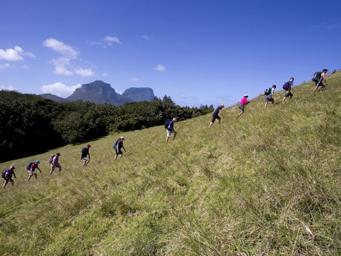 Pinetrees Lodge - Mackay Tourism 19