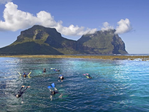 Pinetrees Lodge - Mackay Tourism 9