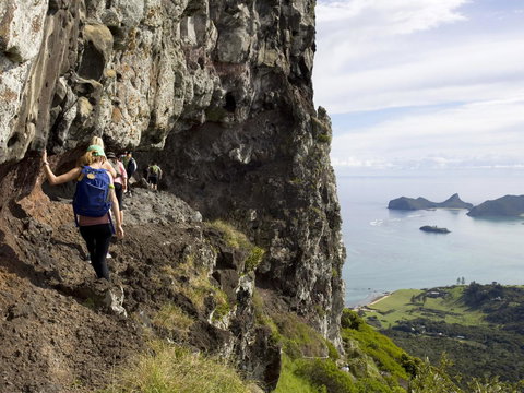 Pinetrees Lodge - Mackay Tourism 11