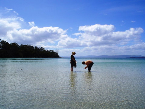 Bruny Island Escapes And Hotel Bruny - Mackay Tourism 36