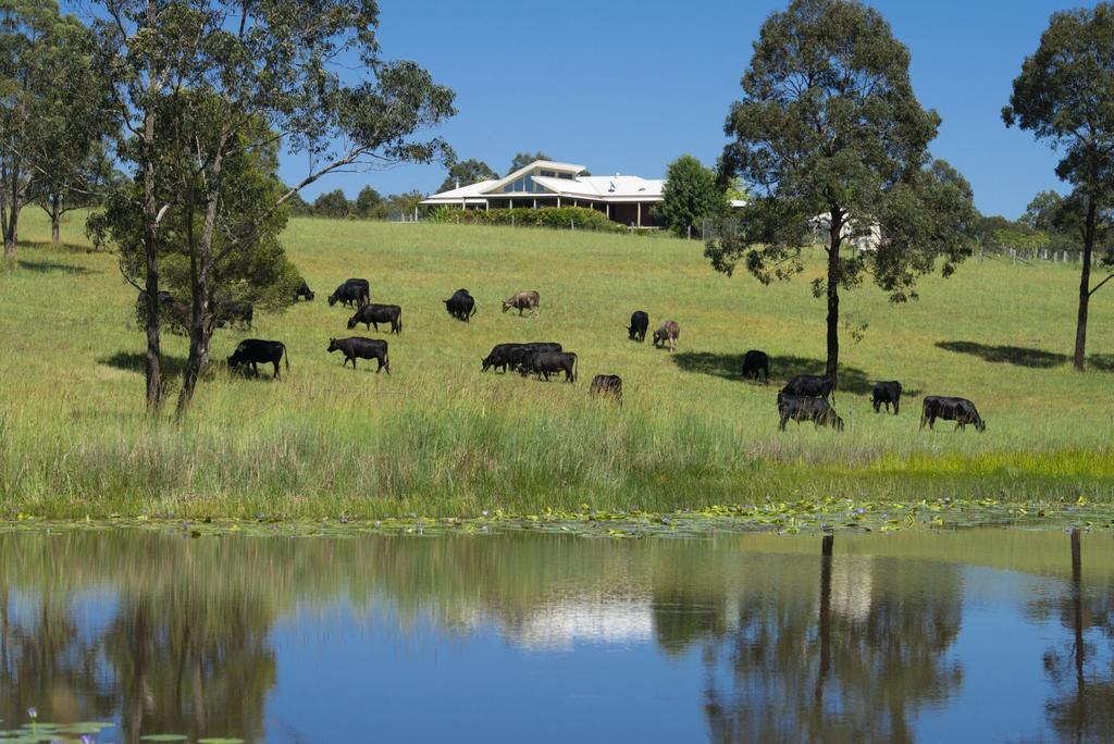 Nerong NSW Mackay Tourism